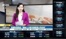 叶飞爆料 名单公布最新,最新名单揭晓，揭秘娱乐圈幕后真相