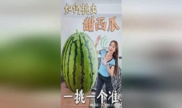 吃瓜网红故事梗概怎么写